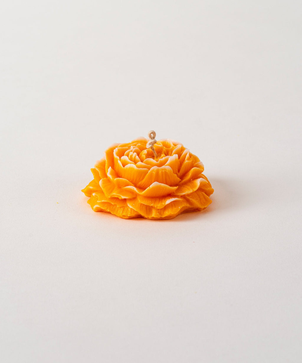 Peony Flower
