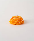 Peony Flower
