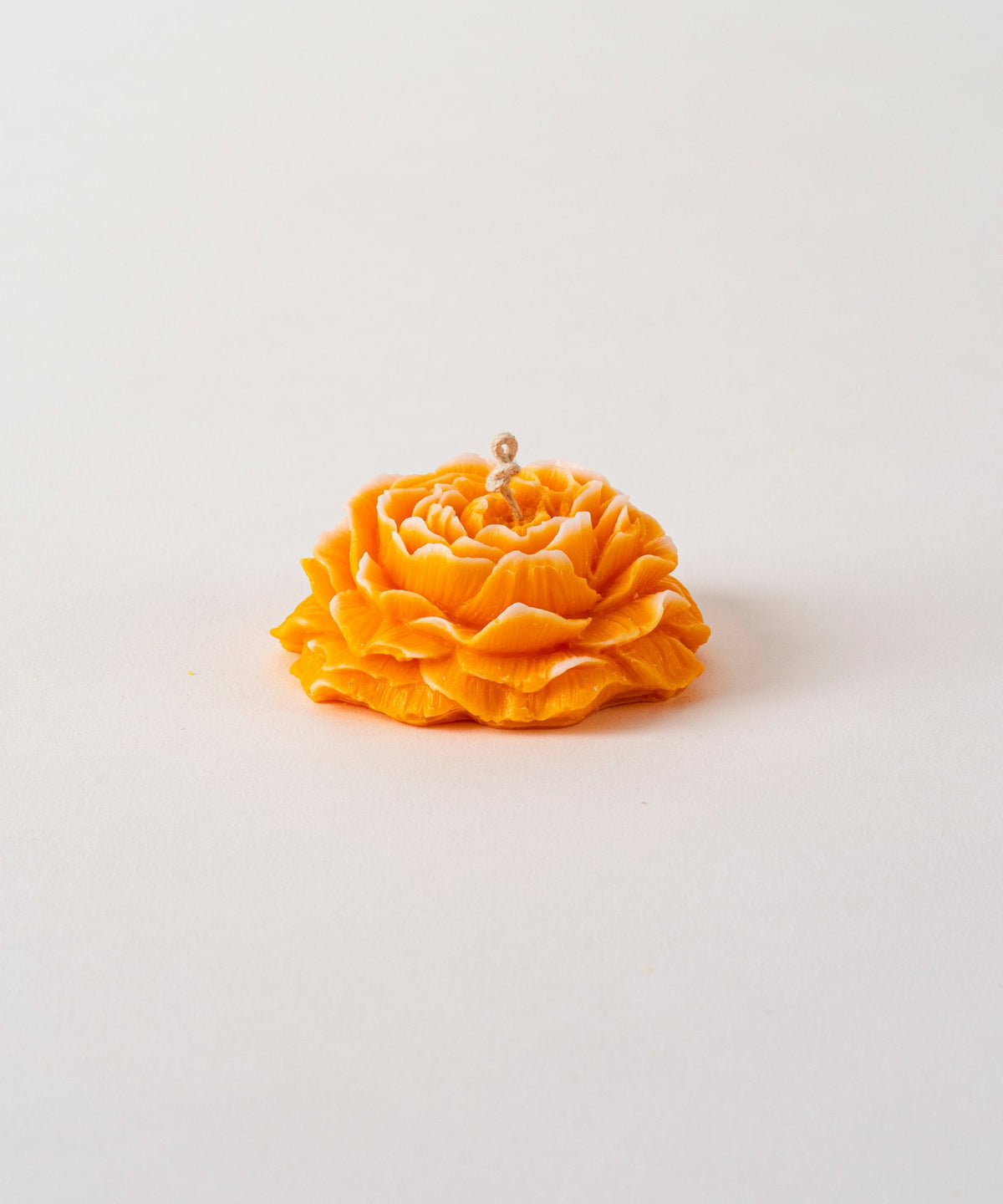 Peony Flower