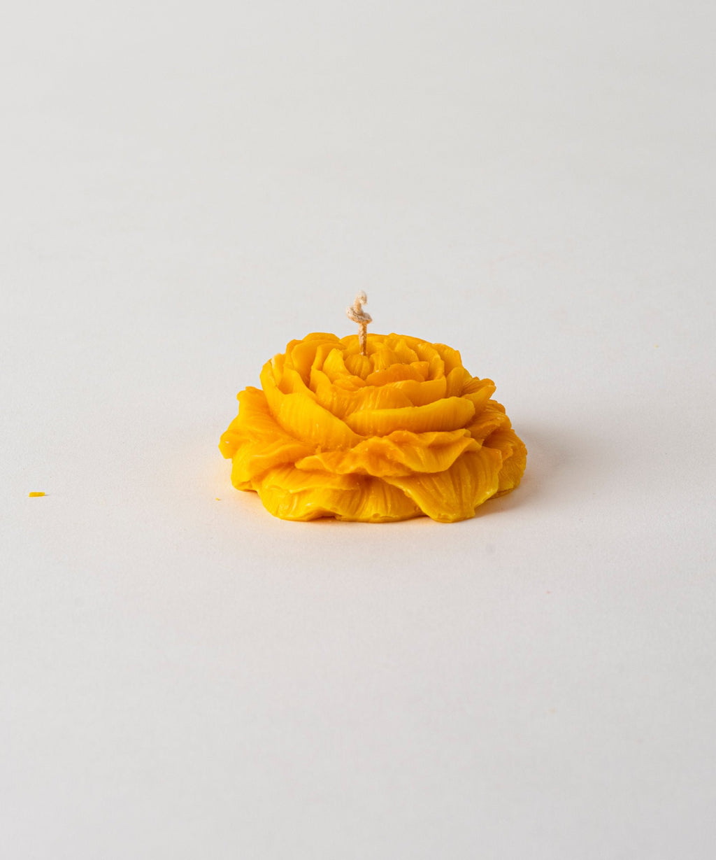 Peony Flower