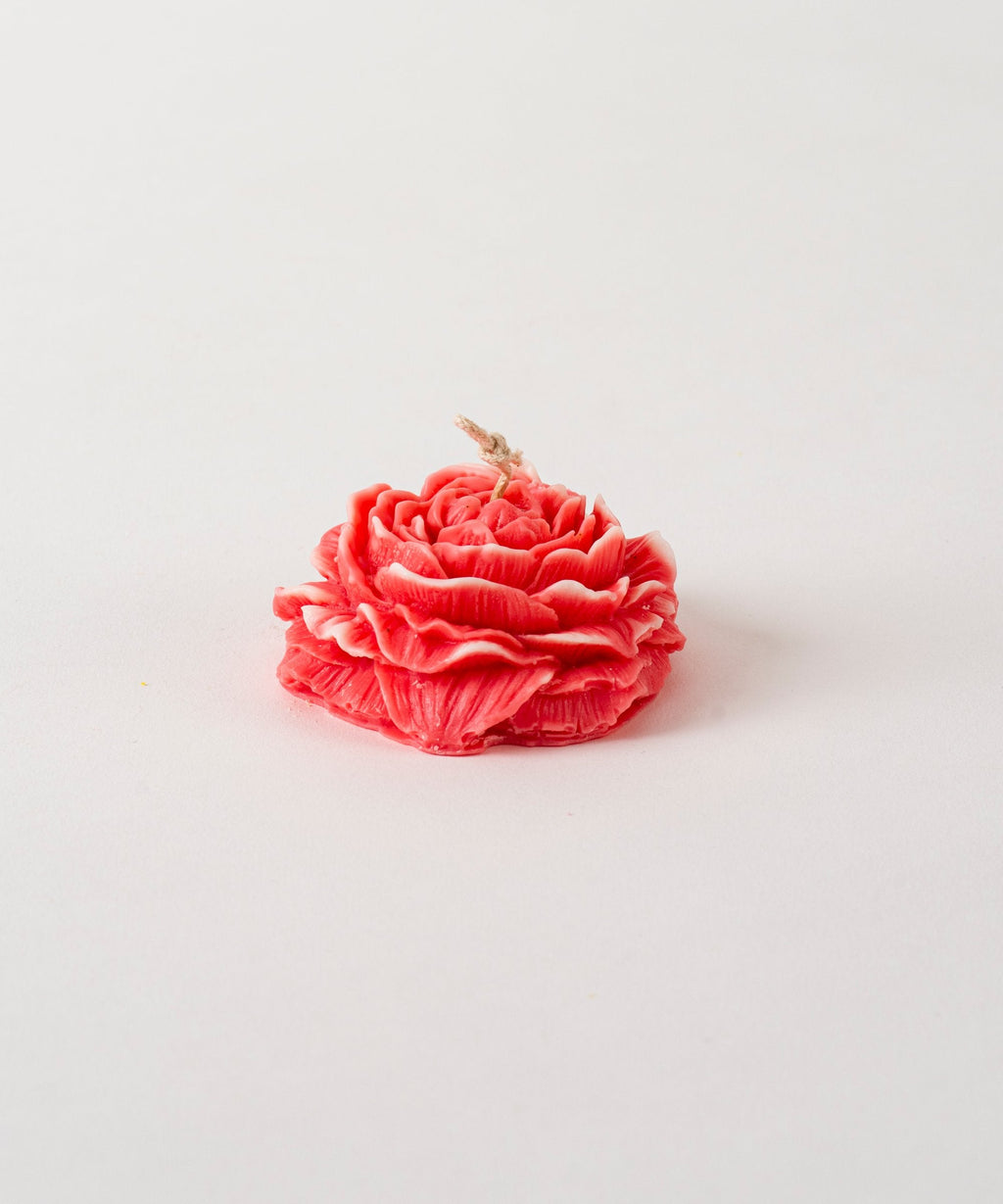 Peony Flower